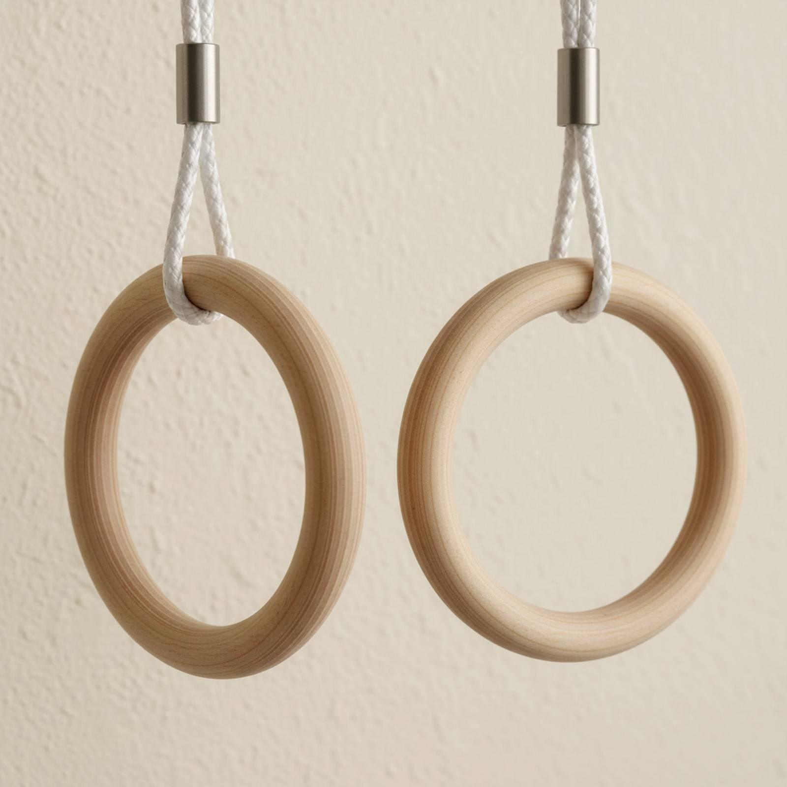 Anelli da Ginnastica Regolabil - Gymnastics Rings recensione e prezzo